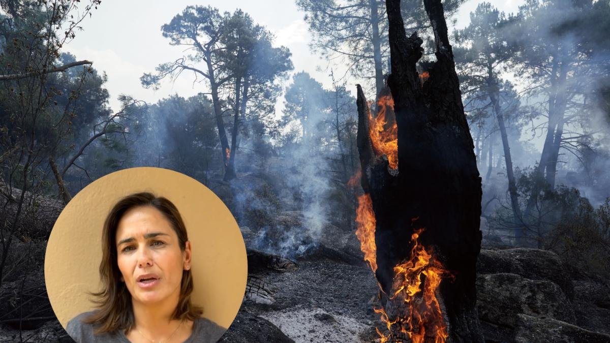 Elena Sánchez entre las llamas: cuando la tele se vuelve real